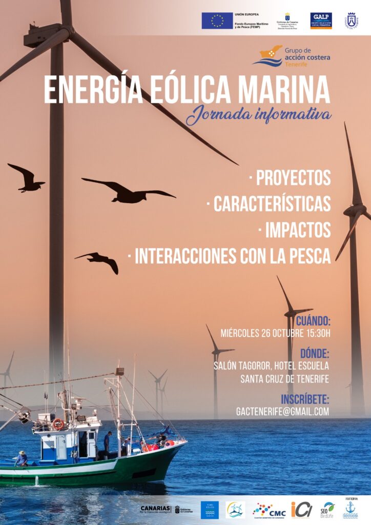 Jornada informativa sobre energía eólica marina. Tenerife