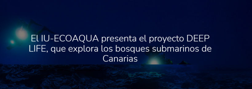 El proyecto Deep Life explora los bosques submarinos de Canarias
